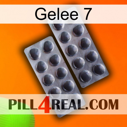 Jelly 7 31